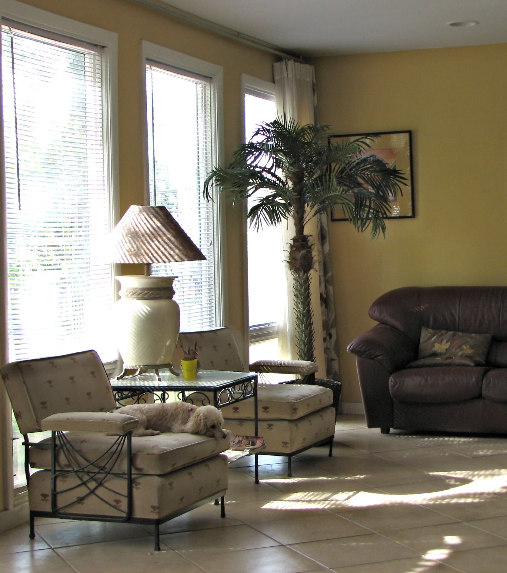 Photo of Arizona Elderly Care Home