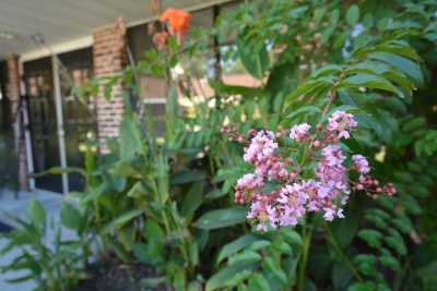 Photo of The Marsh North Charleston