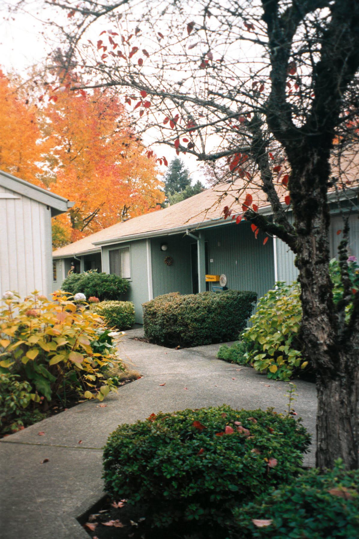 Fairlawn of Olympus Retirement Living