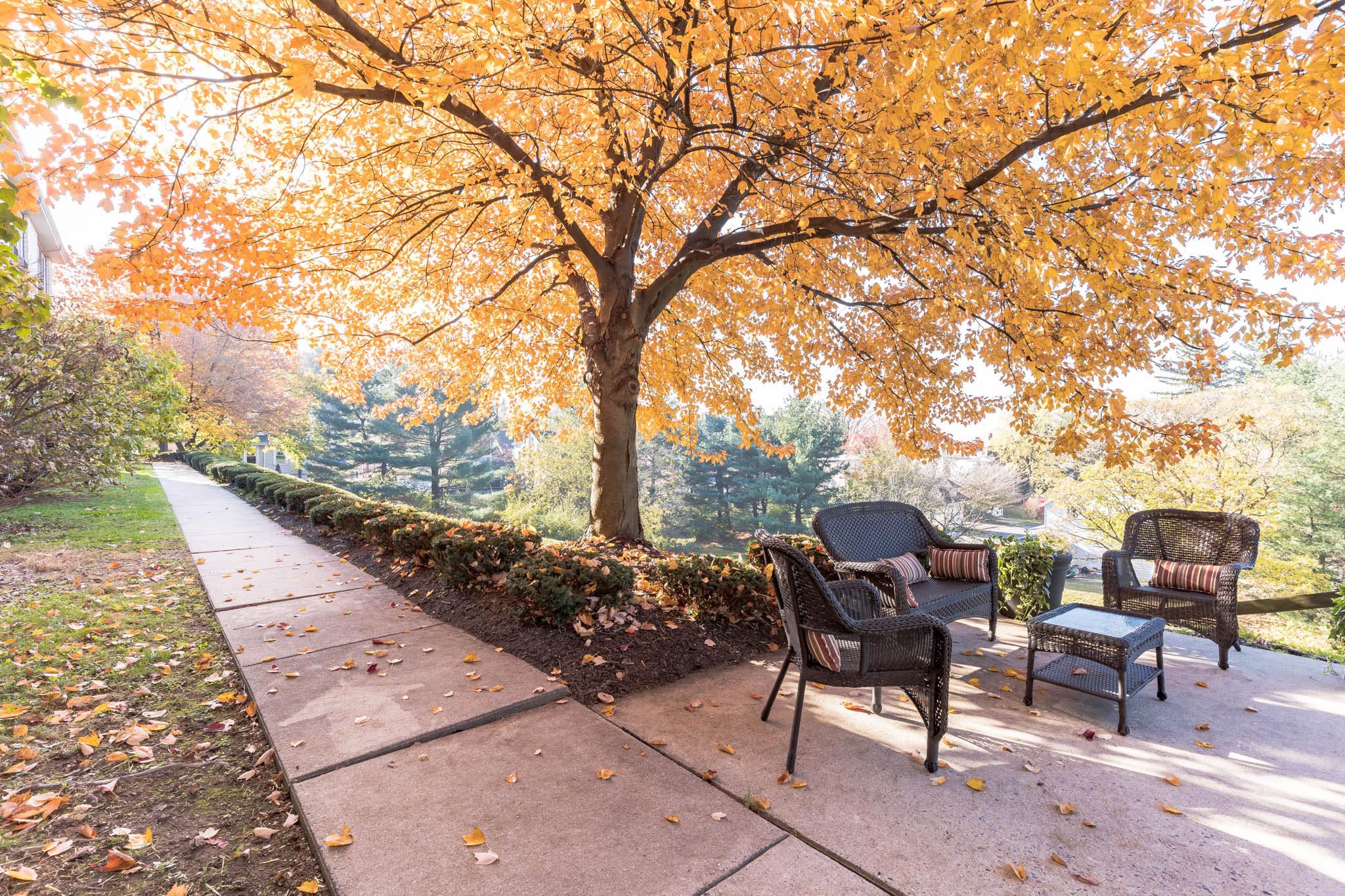 Laurel Pointe Senior Living outdoor common area