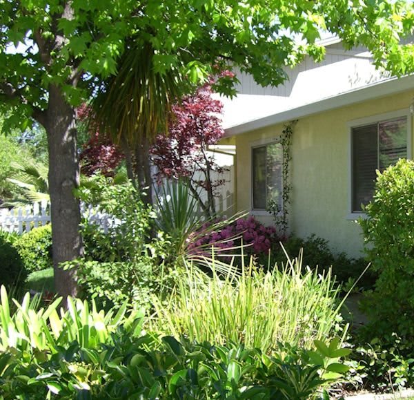 Photo of A Brand New Day